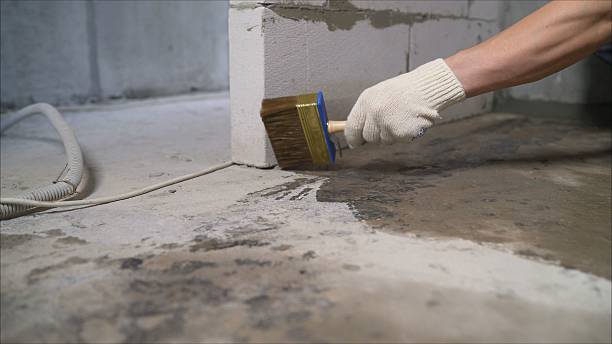 Top rated local Waterproofing specialists in Christiansburg, OH